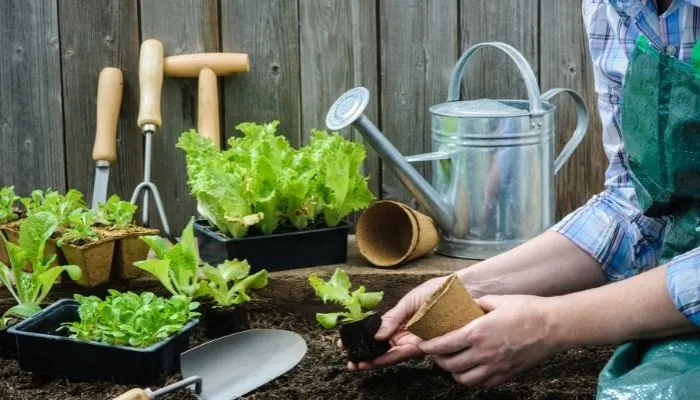 como fazer horta