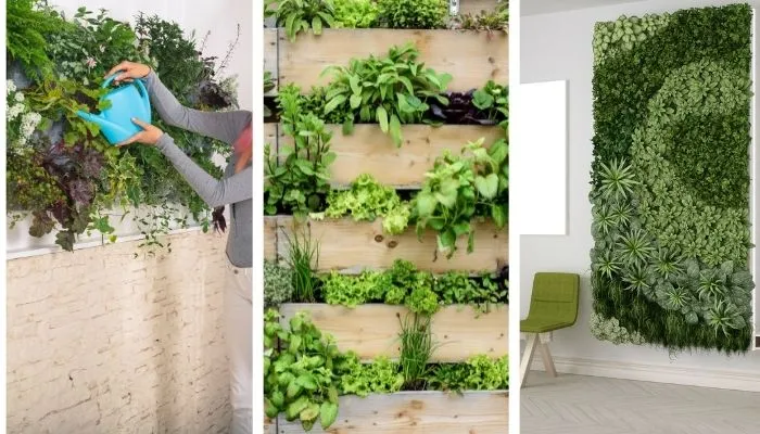 ideias de jardim vertical