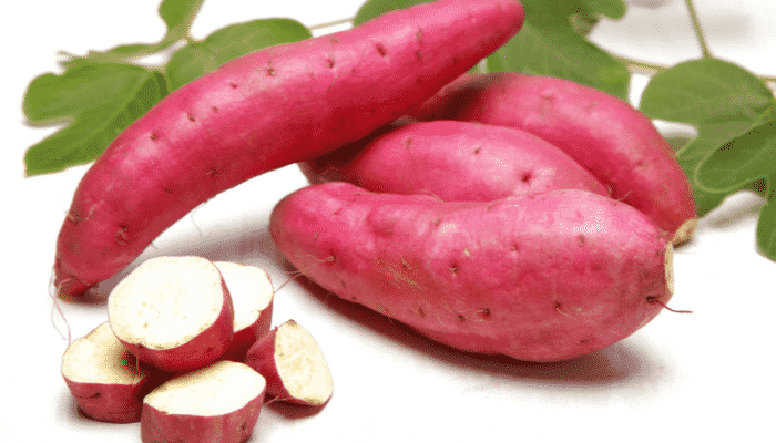 Como cultivar batata-doce
