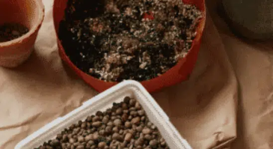 cropped-o-que-e-bokashi-1.png