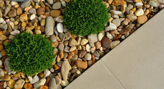 Jardim pequeno com pedras