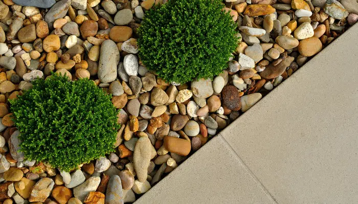 Jardim pequeno com pedras