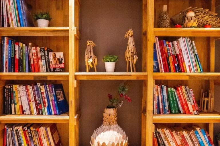 como arrumar estante de livros