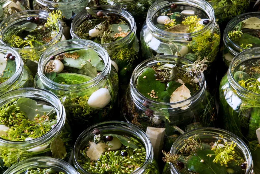 Pepininho em conserva com especiarias em vários frascos de vidro 