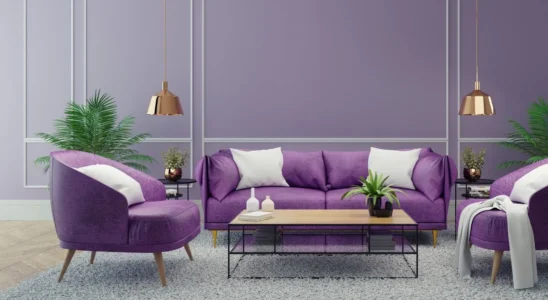 parede de cor lilás em sala com móveis roxos, mesa de centro de madeira e tapete cinza
