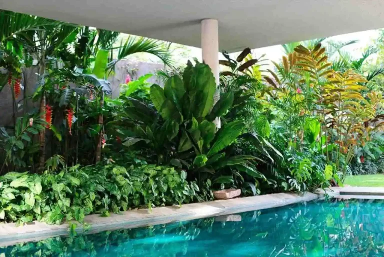 Decorando com plantas tropicais