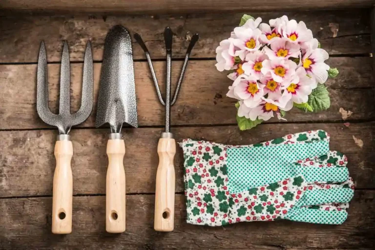 ferramentas de jardinagem