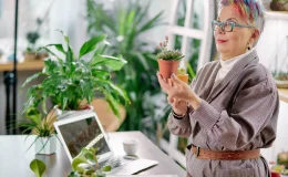 plantas para escritório fechado