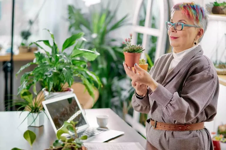 plantas para escritório fechado