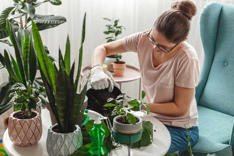 erros ao cuidar de plantas